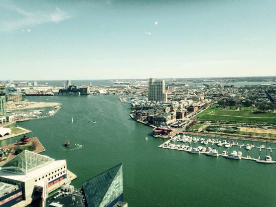 Top of the World Observation Level